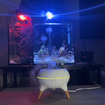 JellyGlow™ Official